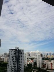 Viva (D11), Condominium #565447631